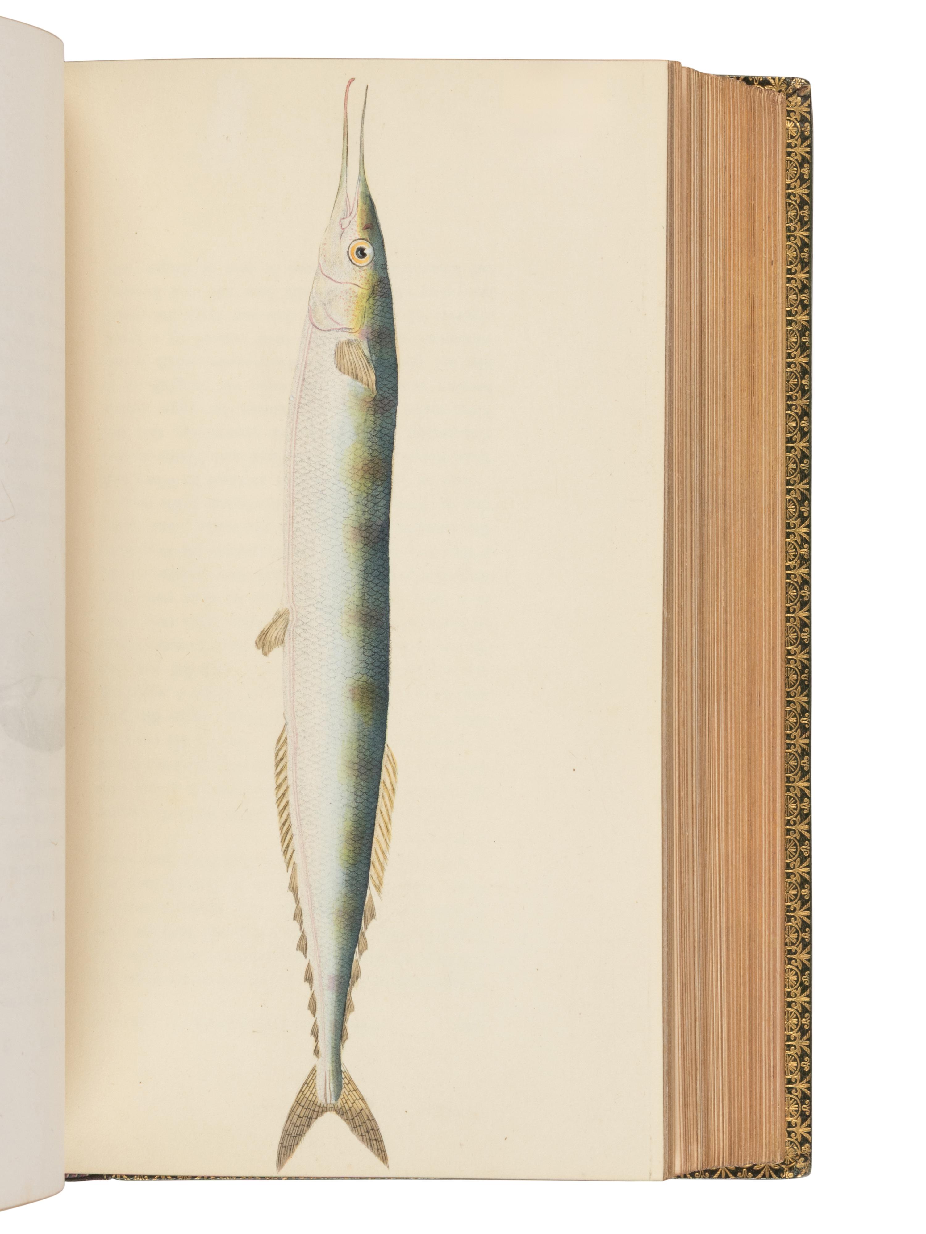 WALTON, Izaak (1593-1683) and Charles COTTON (1630-1687). The Complete Angler, or The Contemplative Man's Recreation . John Major, editor. London: D. Bogue and H. Wix, 1844.