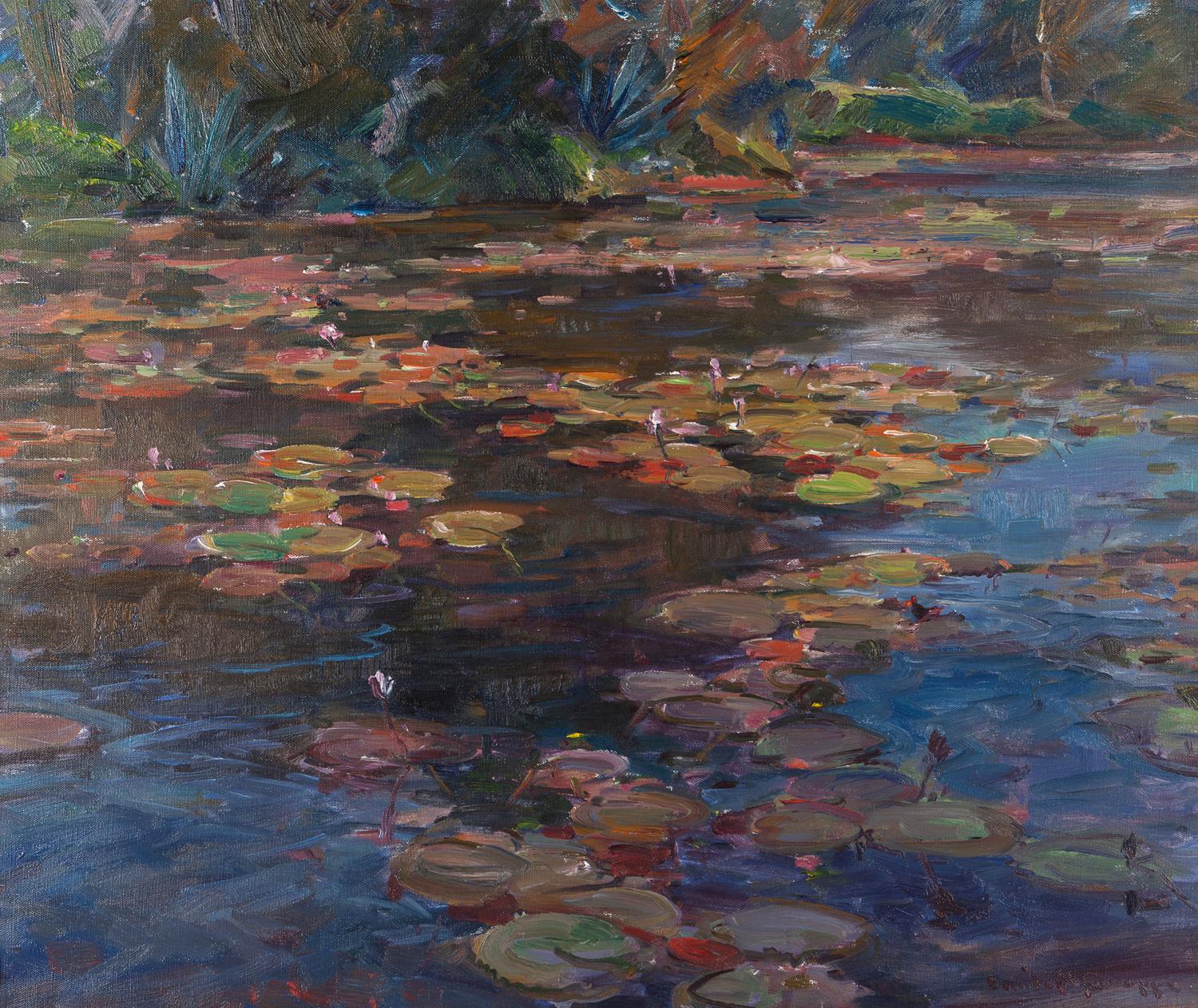 Lily Pond