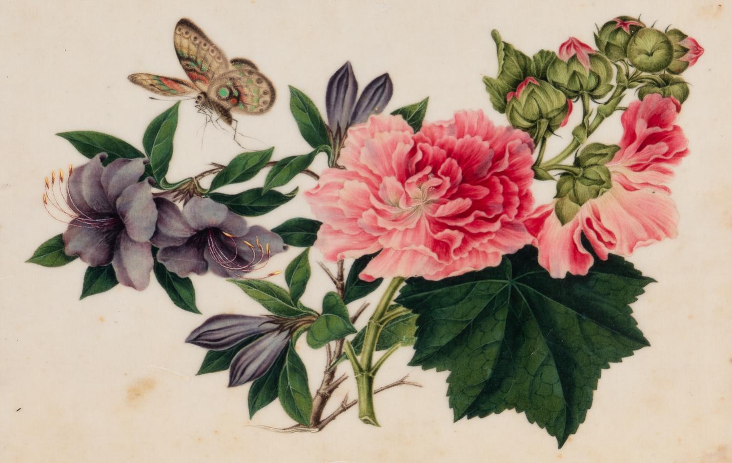 A Set of Twelve Chinese Export Watercolor and Pith Botanical Paintings