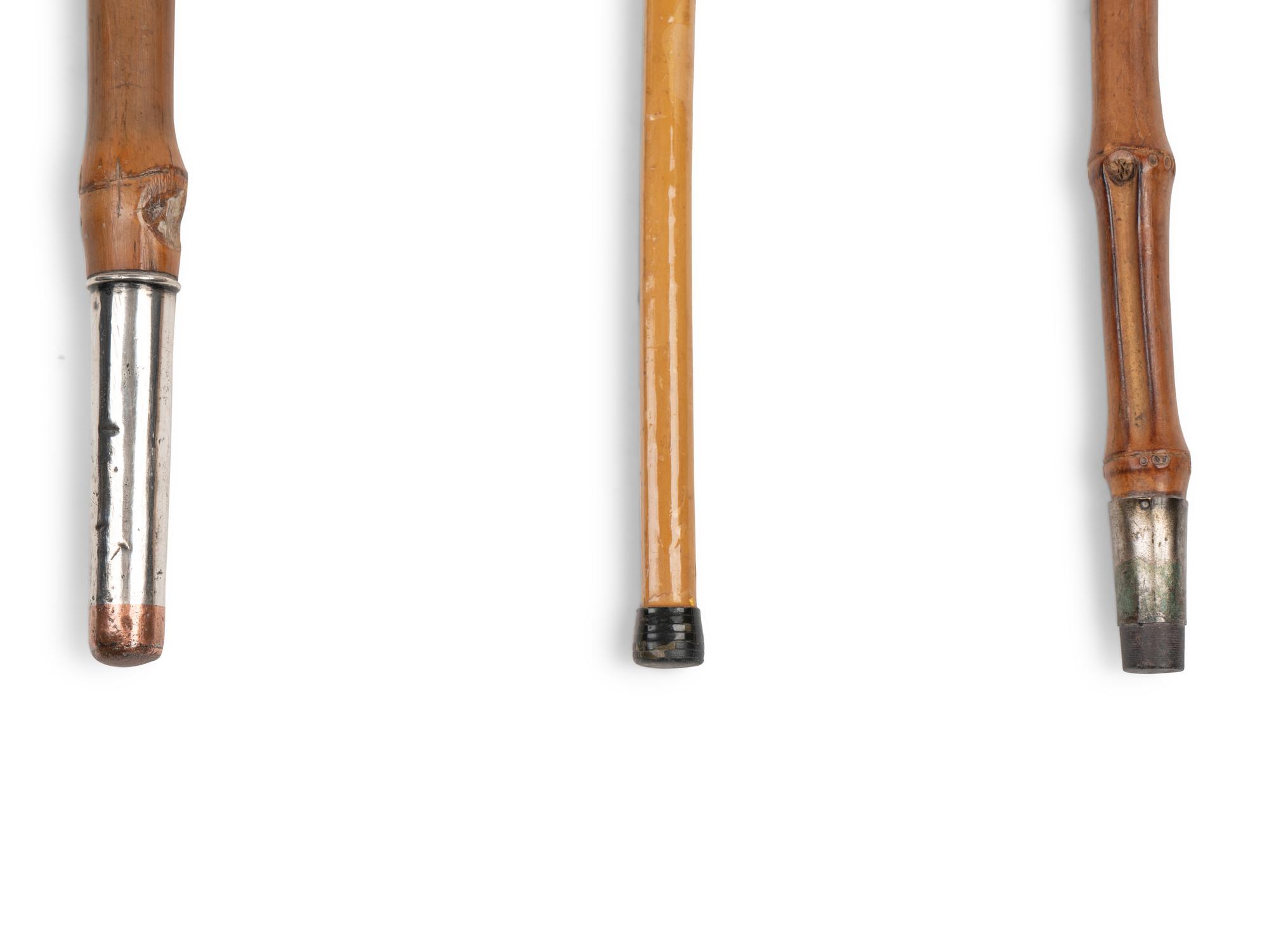A Group of Eight Canes and Walking Sticks