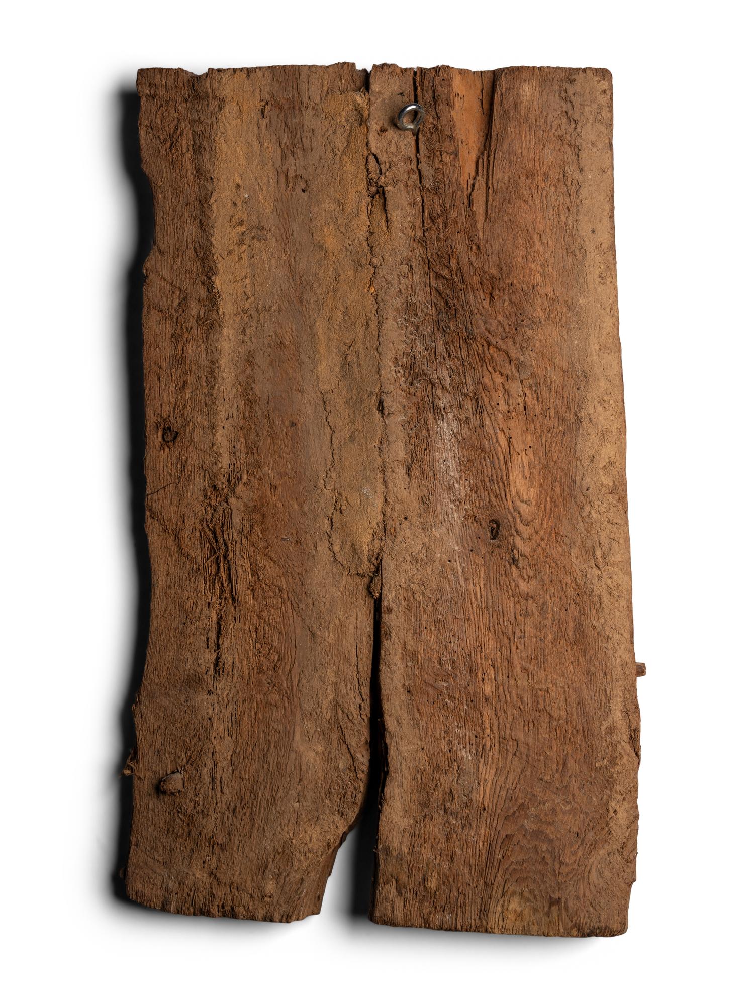 An Egyptian Painted Wood Sarcophagus Fragment with a Scarab