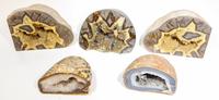 Five Geodes Width of widest 6 1/2 inches.