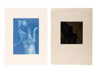 Two Works: Blue Cat Ghost, edition 15/15; Dream Horse , edition 37/50