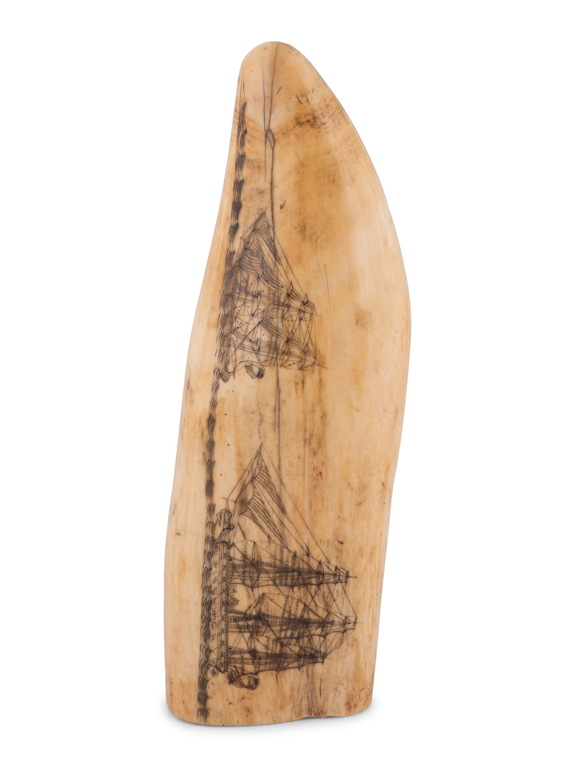 A Scrimshaw Tooth Depicting Two Ships Underway