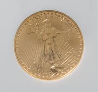 A United States 2006 Eagle $25 Gold Coin