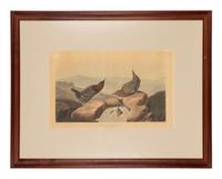 AUDUBON, John James (1785-1851)