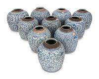 10 Chinese Blue and White Porcelain 'Foliate' Jars