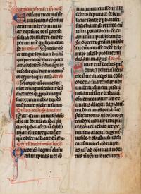 [BOOK OF HOURS]. A group of 25 leaves from medieval and renaissance manuscripts and printed books, including 5 or more from Otto Ege’s Fifty Original Leaves from Medieval Manuscripts. Western Europe: XII-XVI Century [compiled Cleveland, c.1950] and Original Leaves from Famous Bibles: Nine Centuries, 1121-1935 A.D [Compiled Cleveland, c.1950]. Various sizes, including: