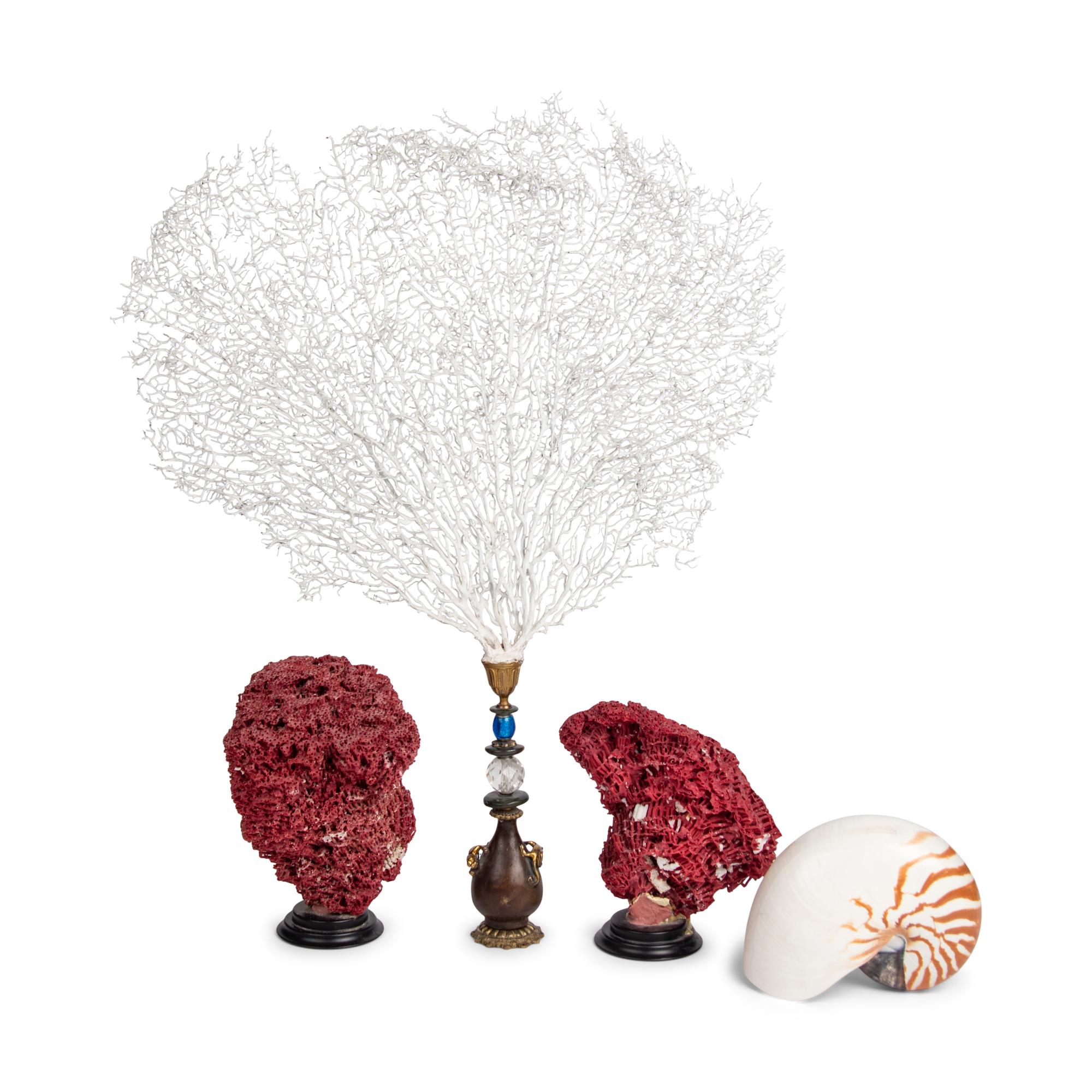 Three Painted Coral Specimens on Stands