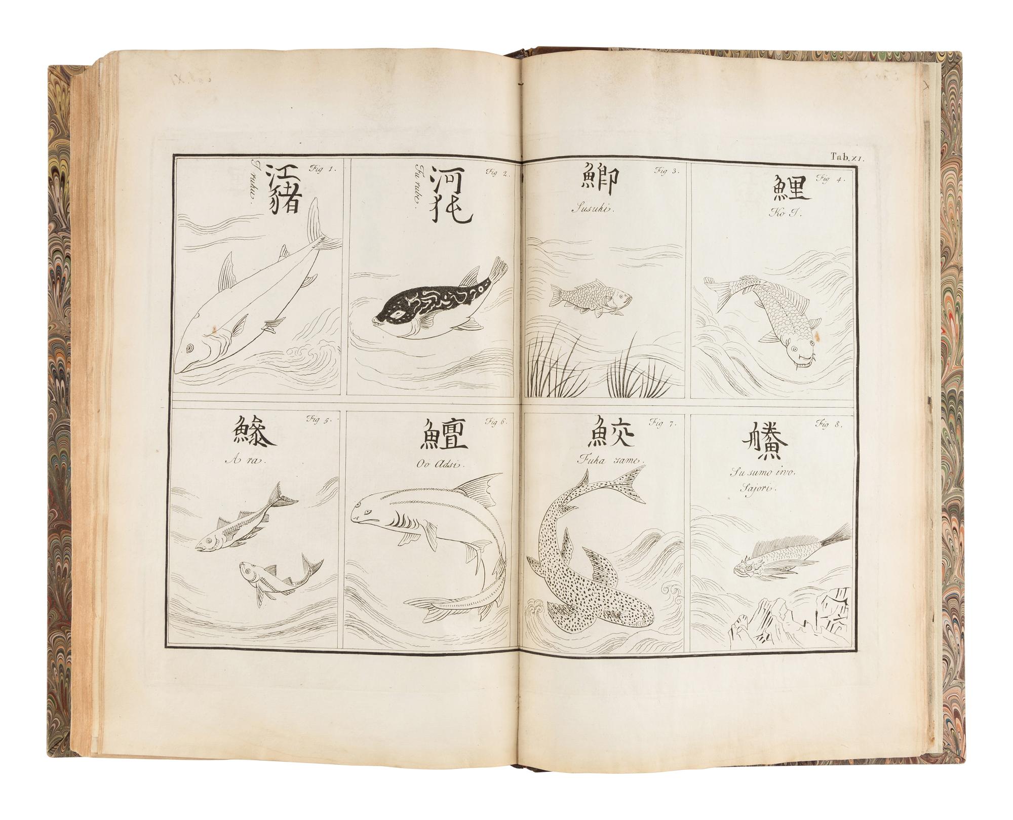 KAEMPFER, Engelbert (1651-1716). The History of Japan, giving an Account of the Ancient and Present State and Government of that Empire...translated from his original manuscript, never before printed, by J.G. Scheuchzer...With the life of the author . London: Printed for the translator [Volume II: for the Publisher], 1727, 1728.