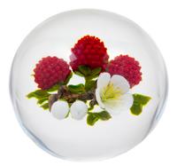 Victor Trabucco, (American, 20th Century), Raspberry Paperweight