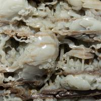 A Large Chinese White Jade Boulder, 20th Century 近代 青玉巨型山子