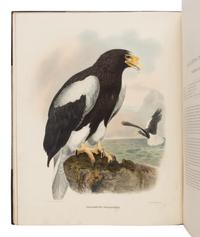 Elliot, Daniel Giraud. The New and Heretofore Unfigured Species of the Birds of North America