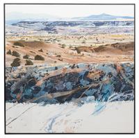 La Bajada Lichen #1