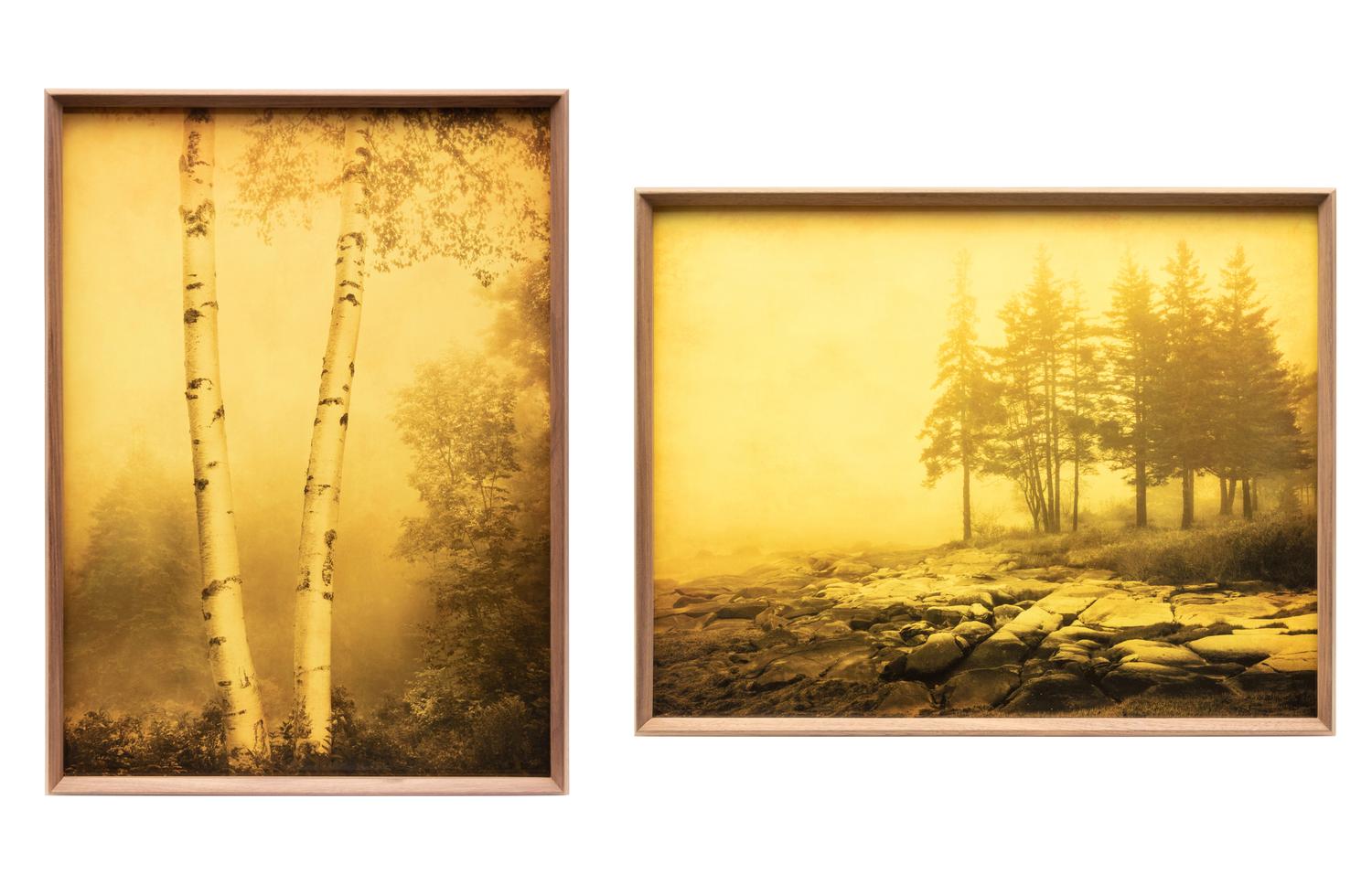 Two Joyce Tenneson Photographs