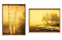 Two Joyce Tenneson Photographs