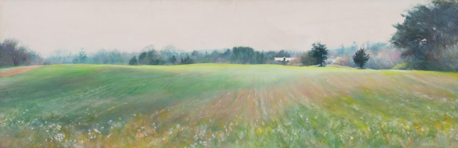 Meadow, 1993