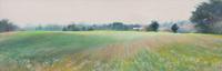 Meadow, 1993
