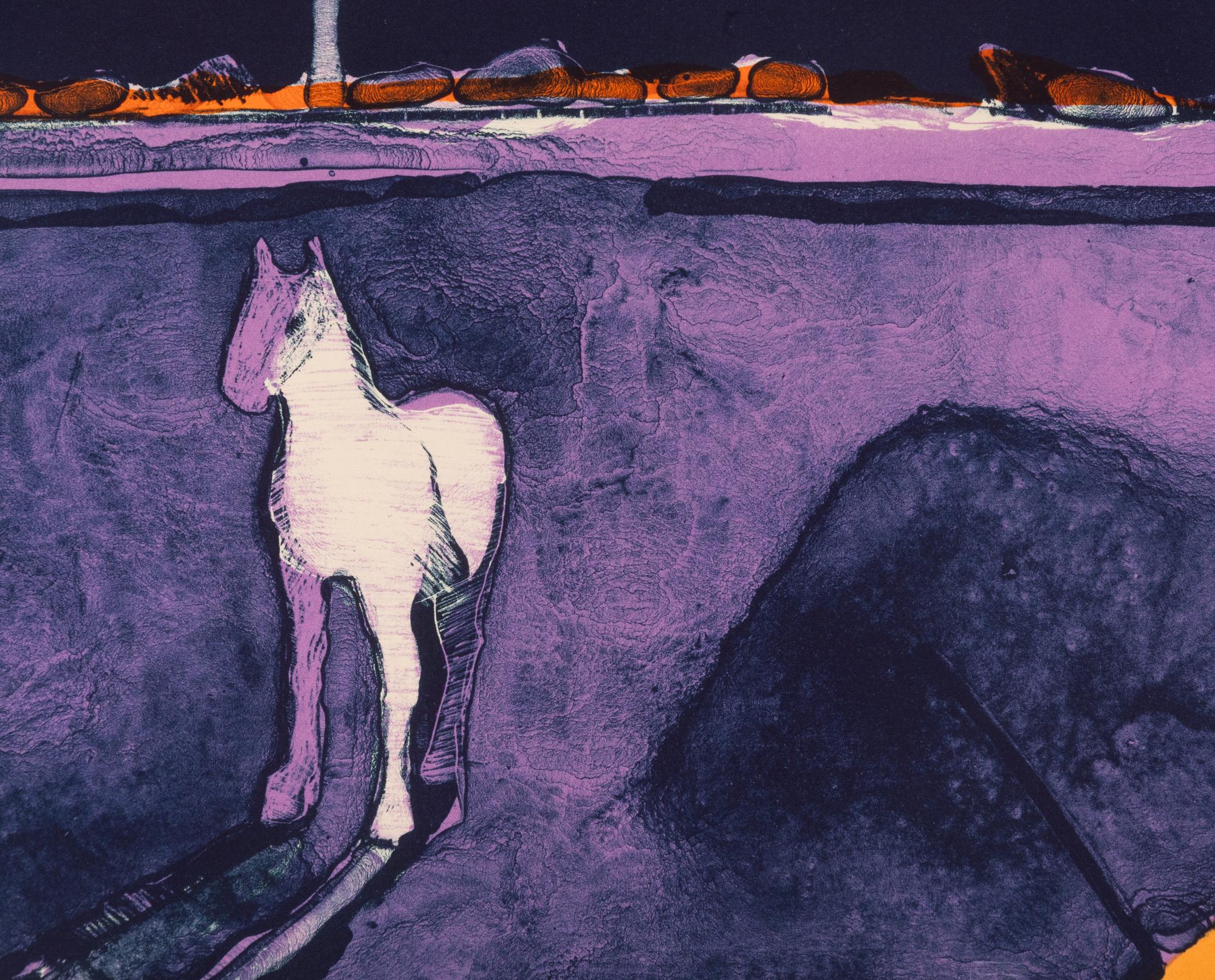 Mystery Horse , Artist's Proof