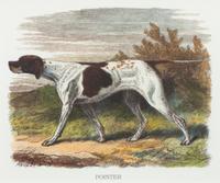 Three Works of Art depicting Pointers Largest: 19 1/4 x 22 1/2 inches.