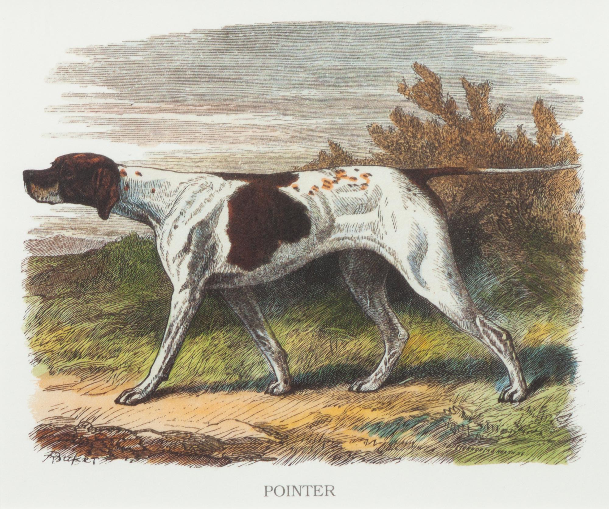 Three Works of Art depicting Pointers Largest: 19 1/4 x 22 1/2 inches.