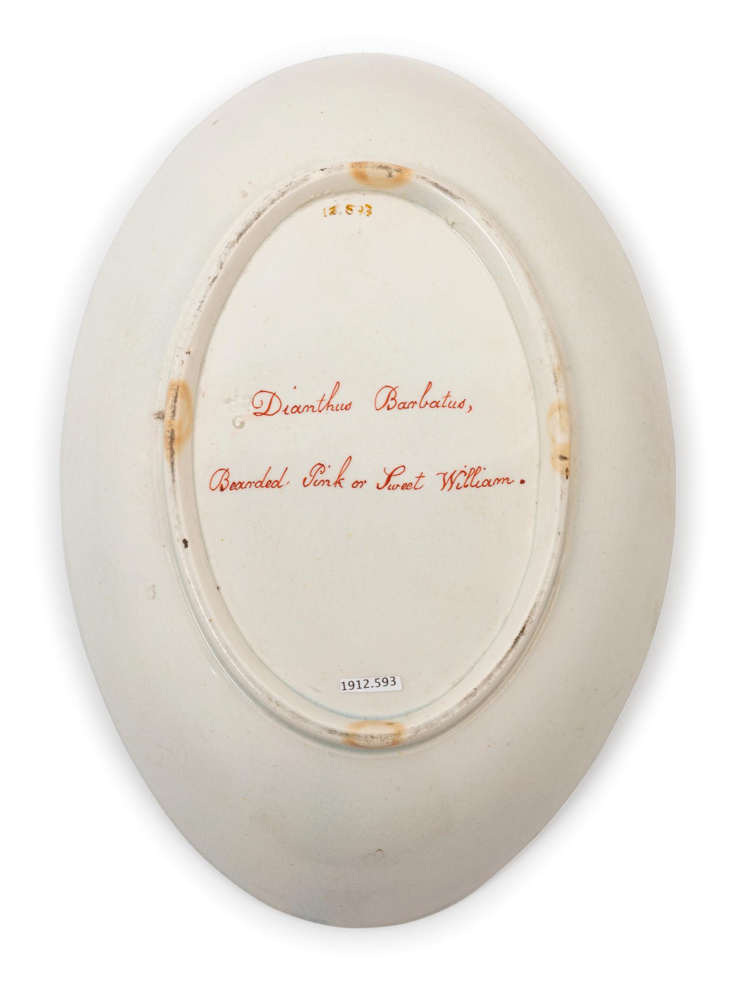 A Staffordshire Botanical Creamware Dish