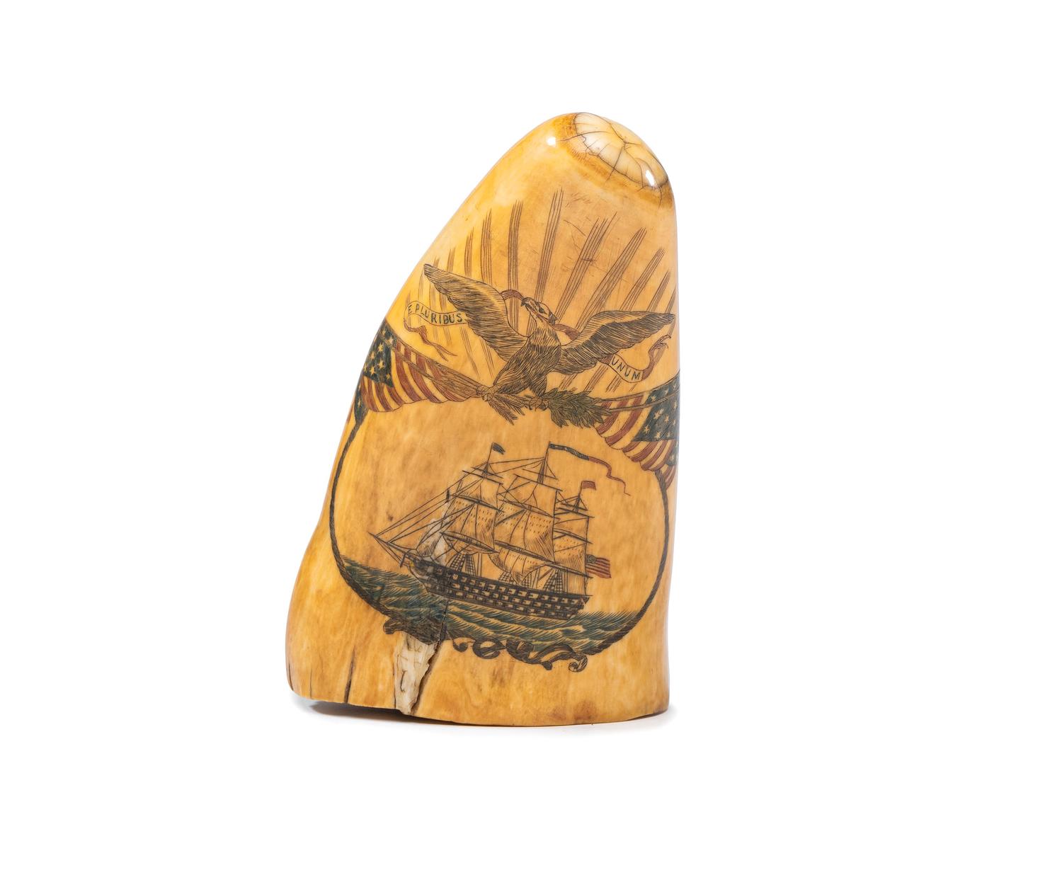 A Scrimshaw Tooth with Polychrome Depiction of the USS Pennsylvania