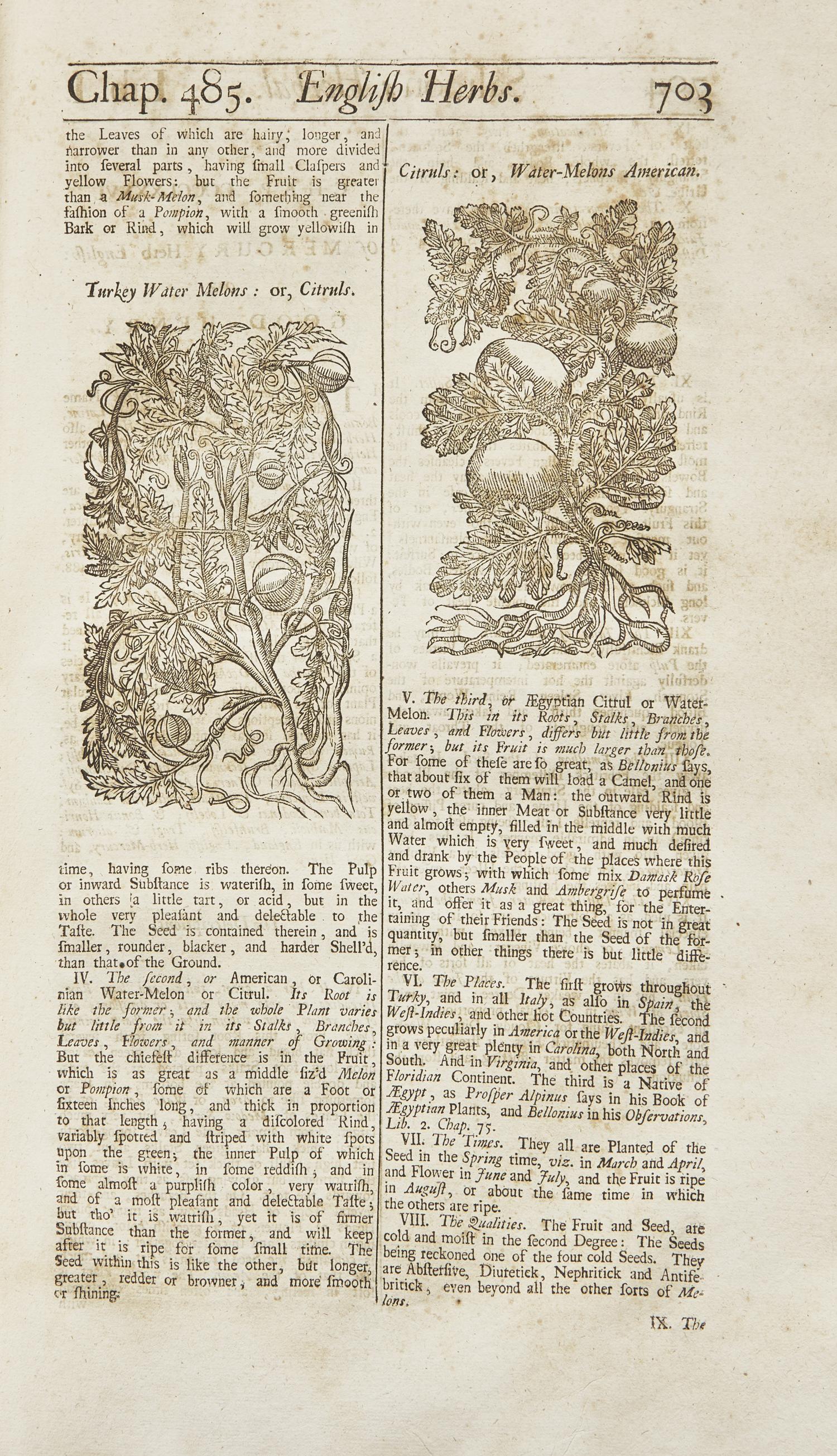 [Natural History] Salmon, William. Botanologia. The English Herbal: Or, History of Plants...