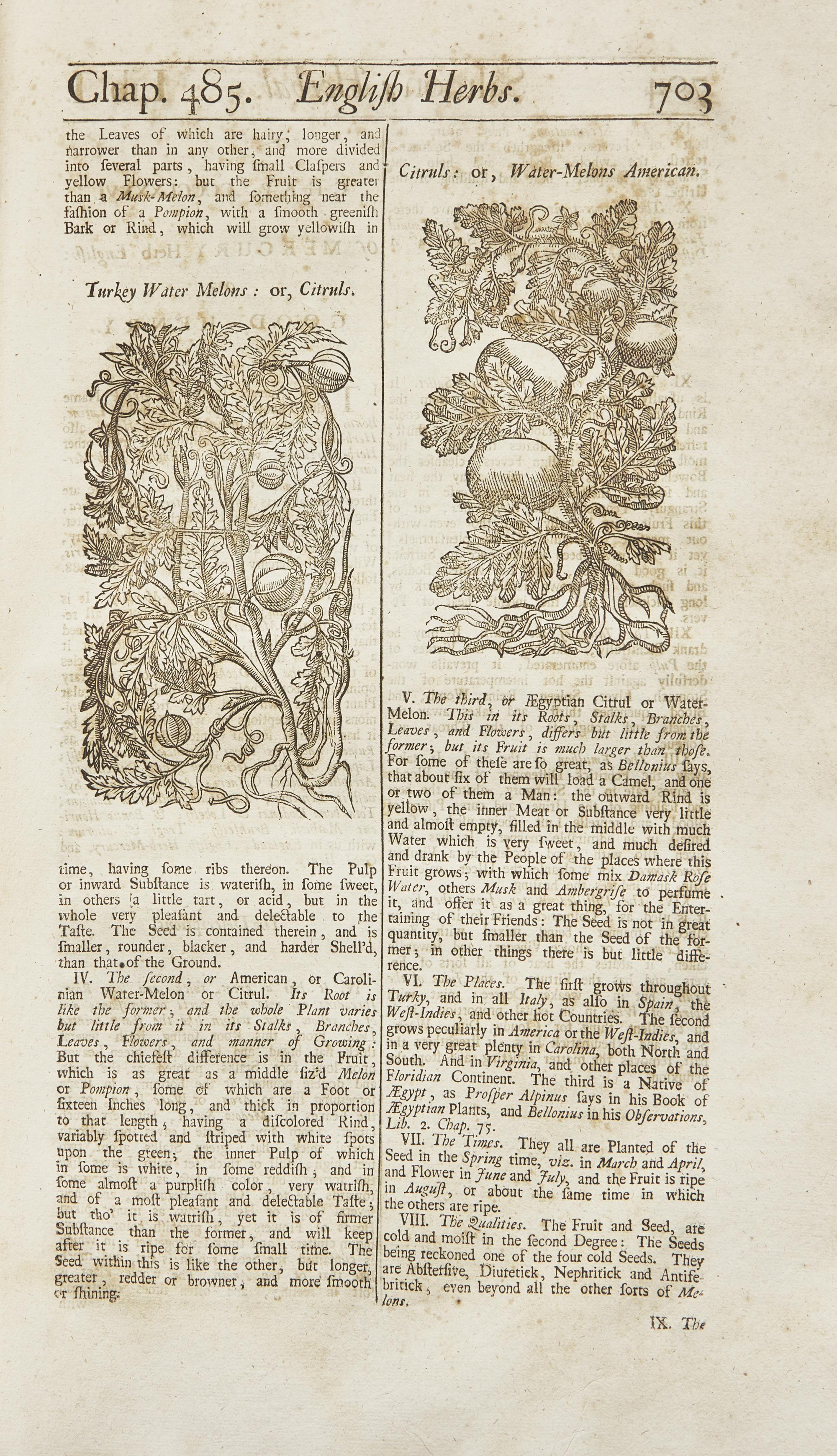[Natural History] Salmon, William. Botanologia. The English Herbal: Or, History of Plants...