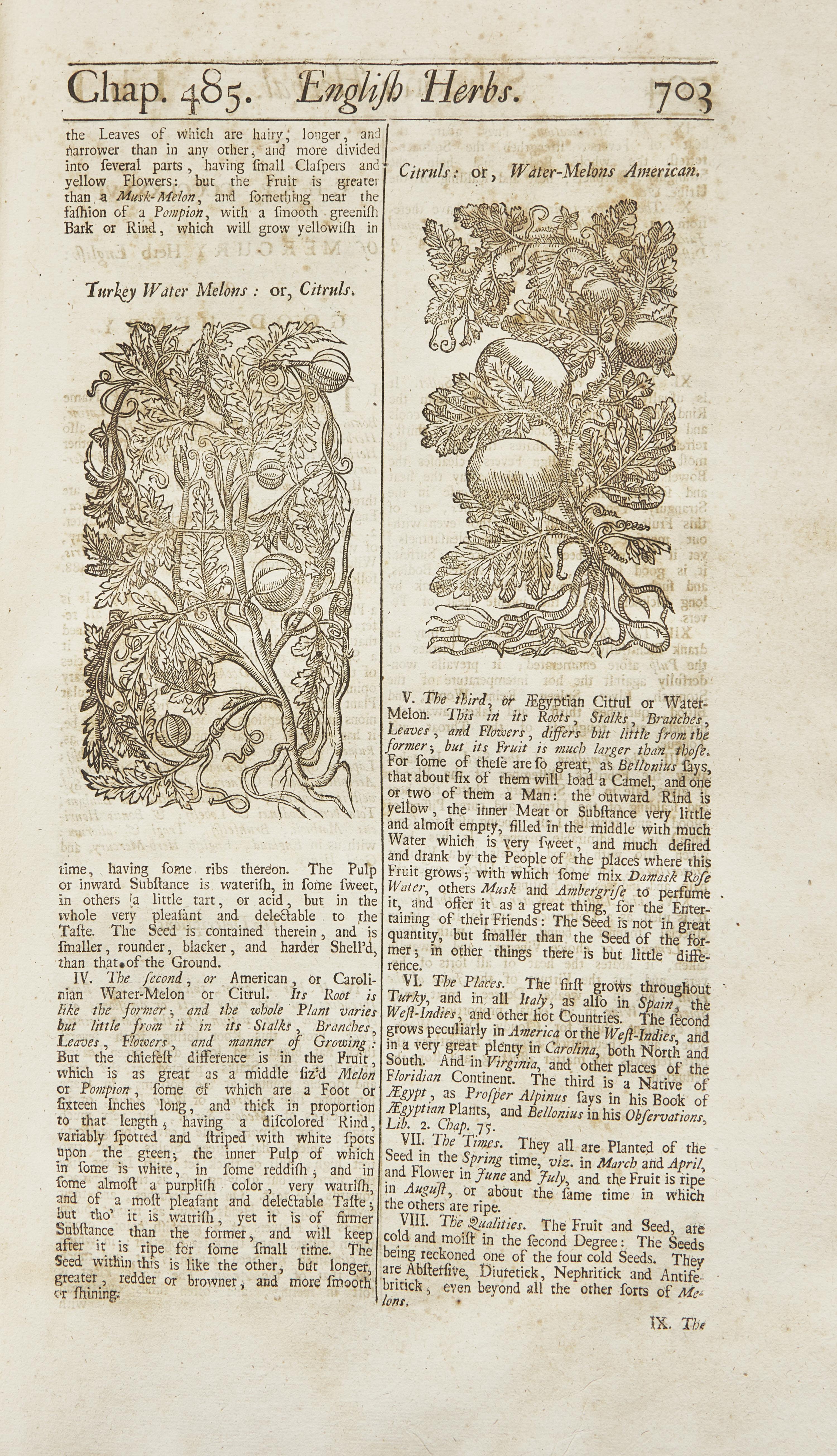 [Natural History] Salmon, William. Botanologia. The English Herbal: Or, History of Plants...