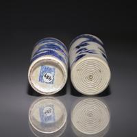 Two Chinese Blue and White Porcelain "Dragon" Snuff Bottles, 19th Century — 清晚期 青花龍紋鼻烟壺兩支