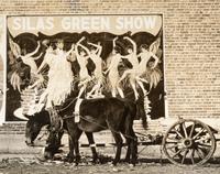 Walker Evans (1903-1975) Mule Team in Mississippi, 1937