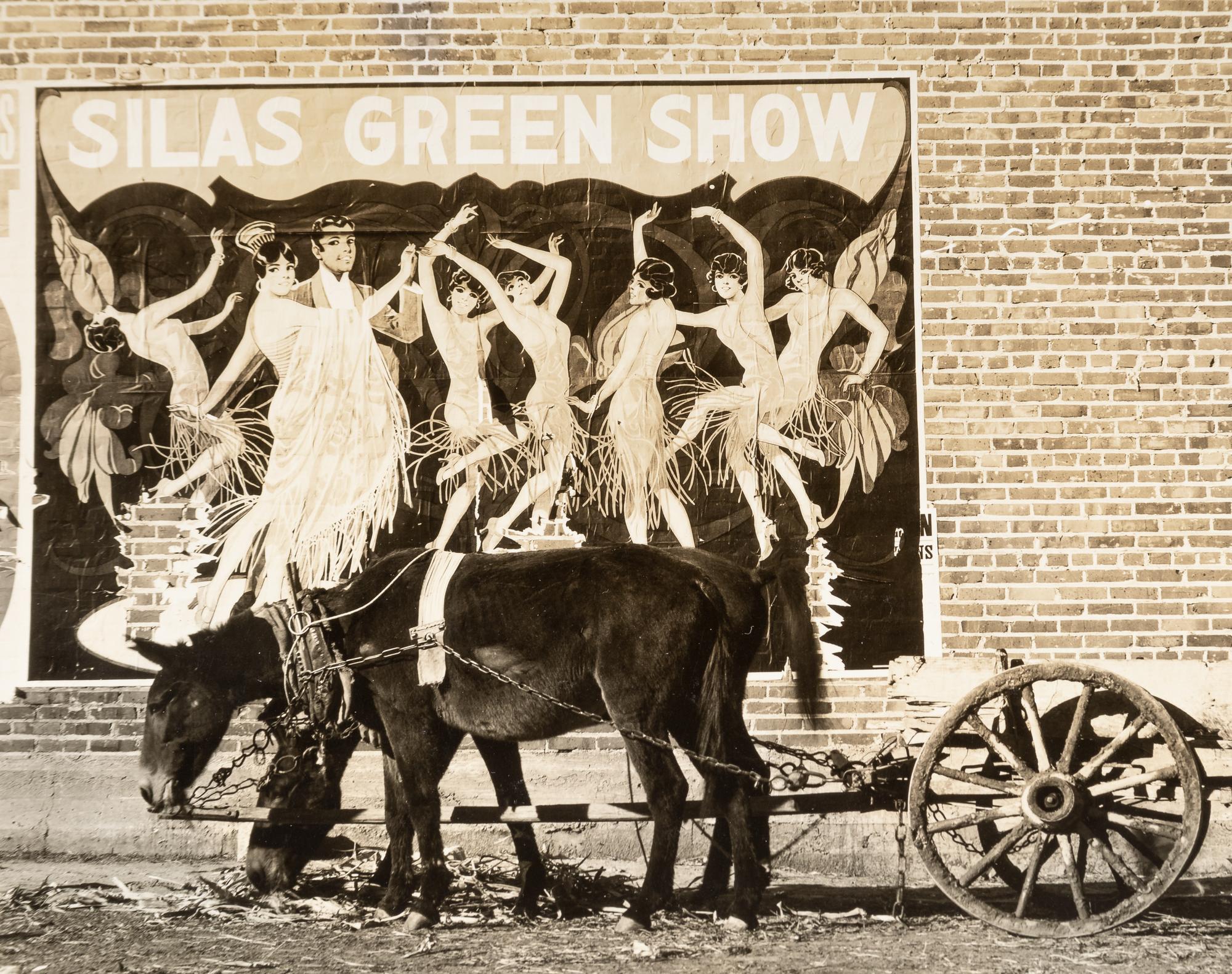 Walker Evans (1903-1975) Mule Team in Mississippi, 1937