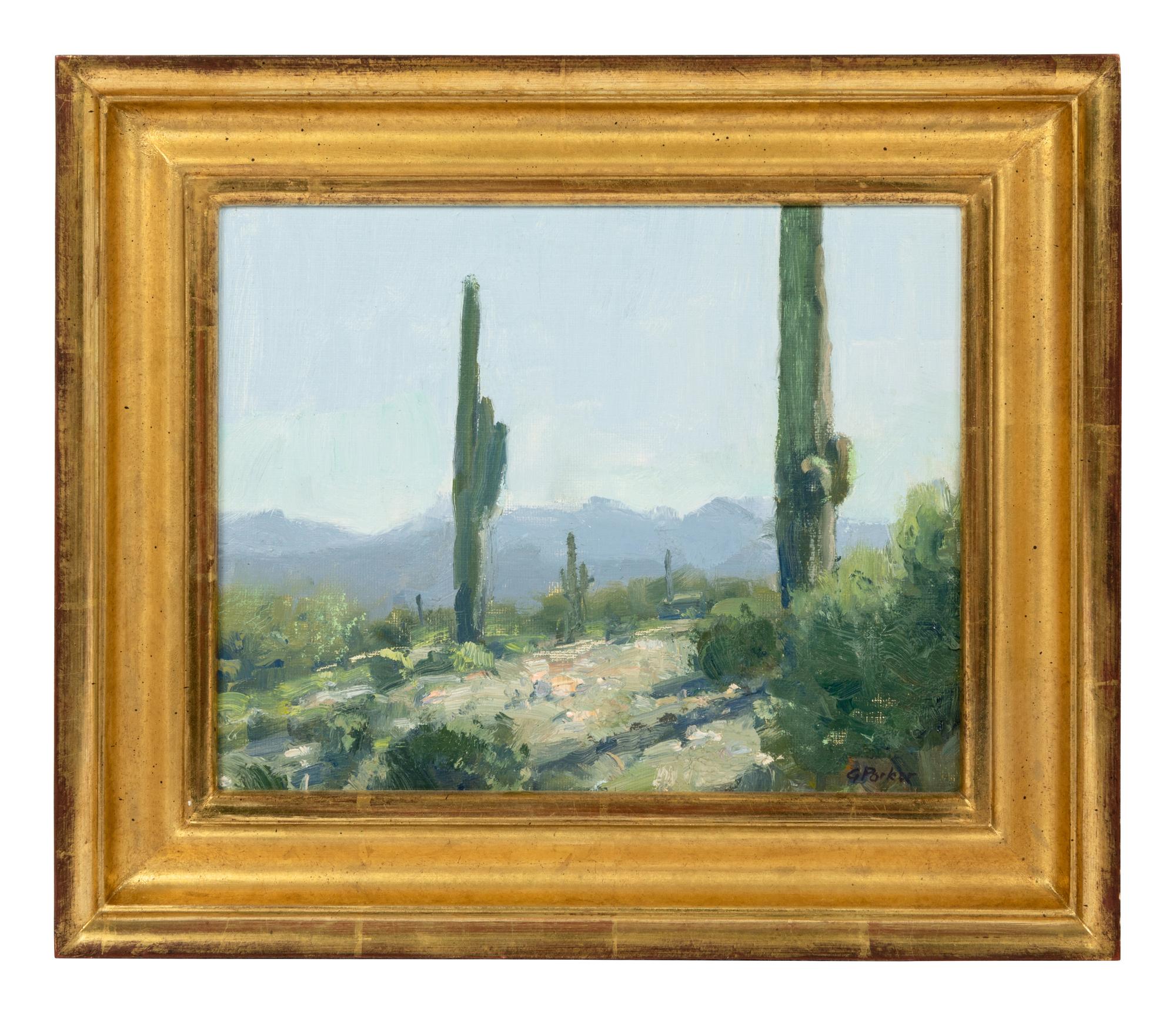 Along the Gila