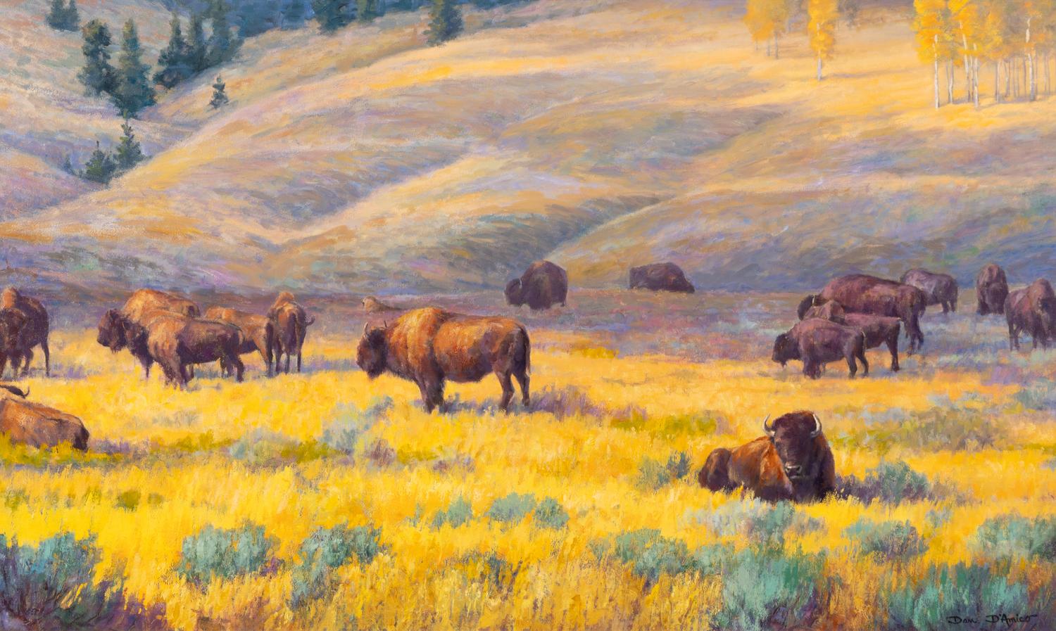 Cloud Shadows (Bison), 1996