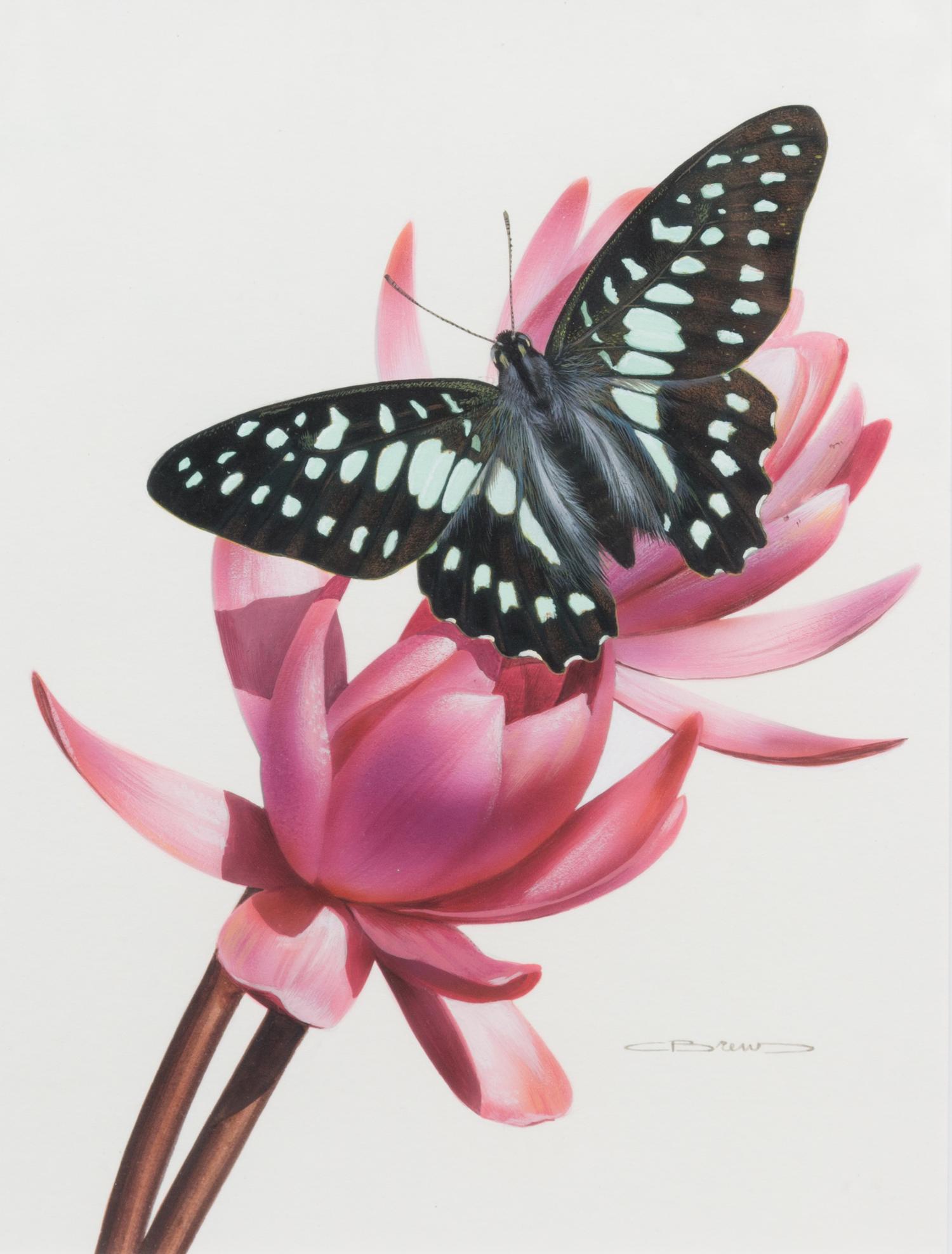 Carl Brenders, (American, b. 1937), Graphium Doson