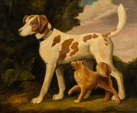 William Skilling, (American/British, 1862-1964), Dog Robinson