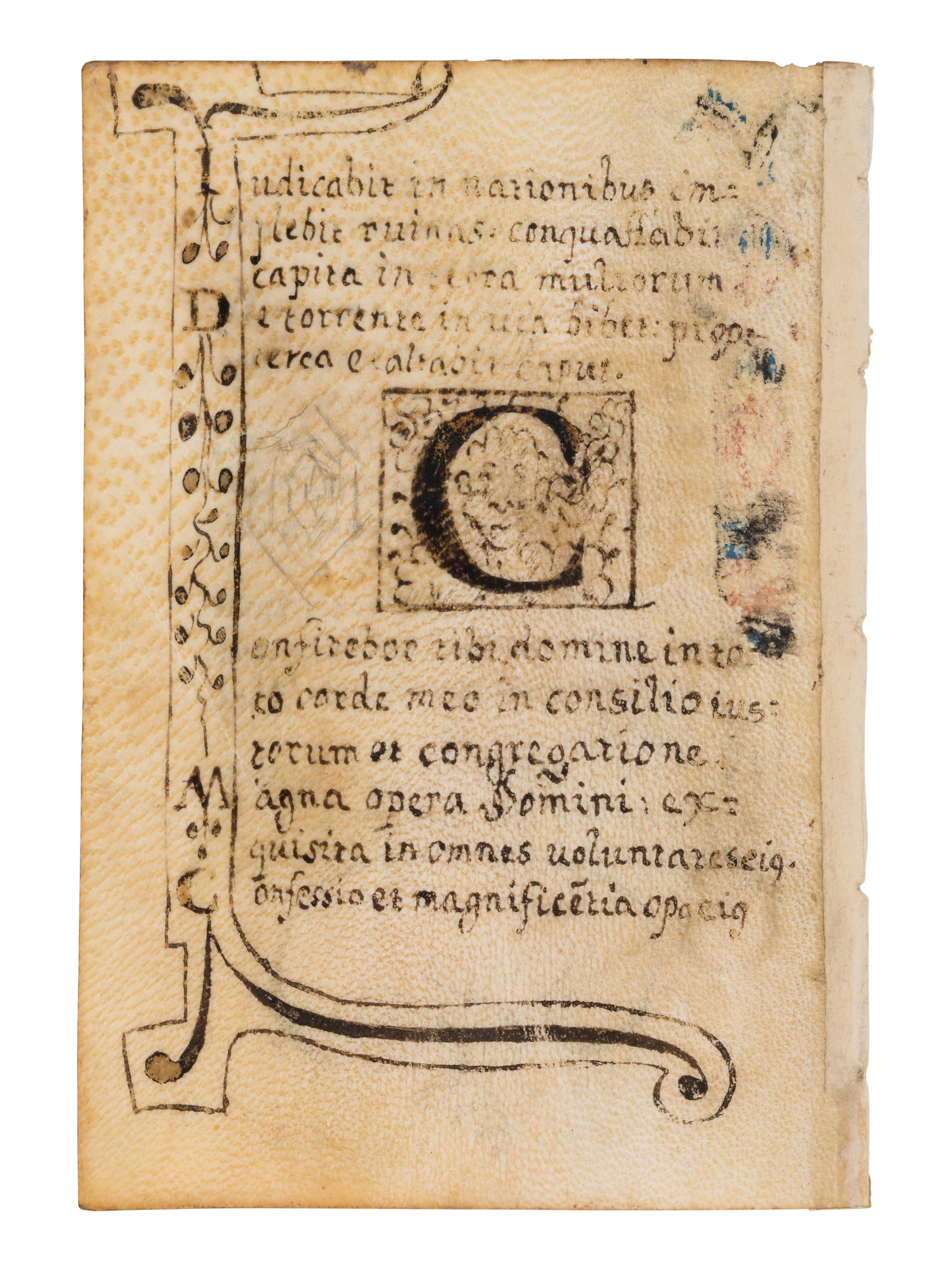 A collection of leaves from Psalter manuscripts, illuminated in Flanders in the first half of the thirteenth century, joined with a group of seventeenth- or eighteenth-century Psalter leaves drawn according to similar models