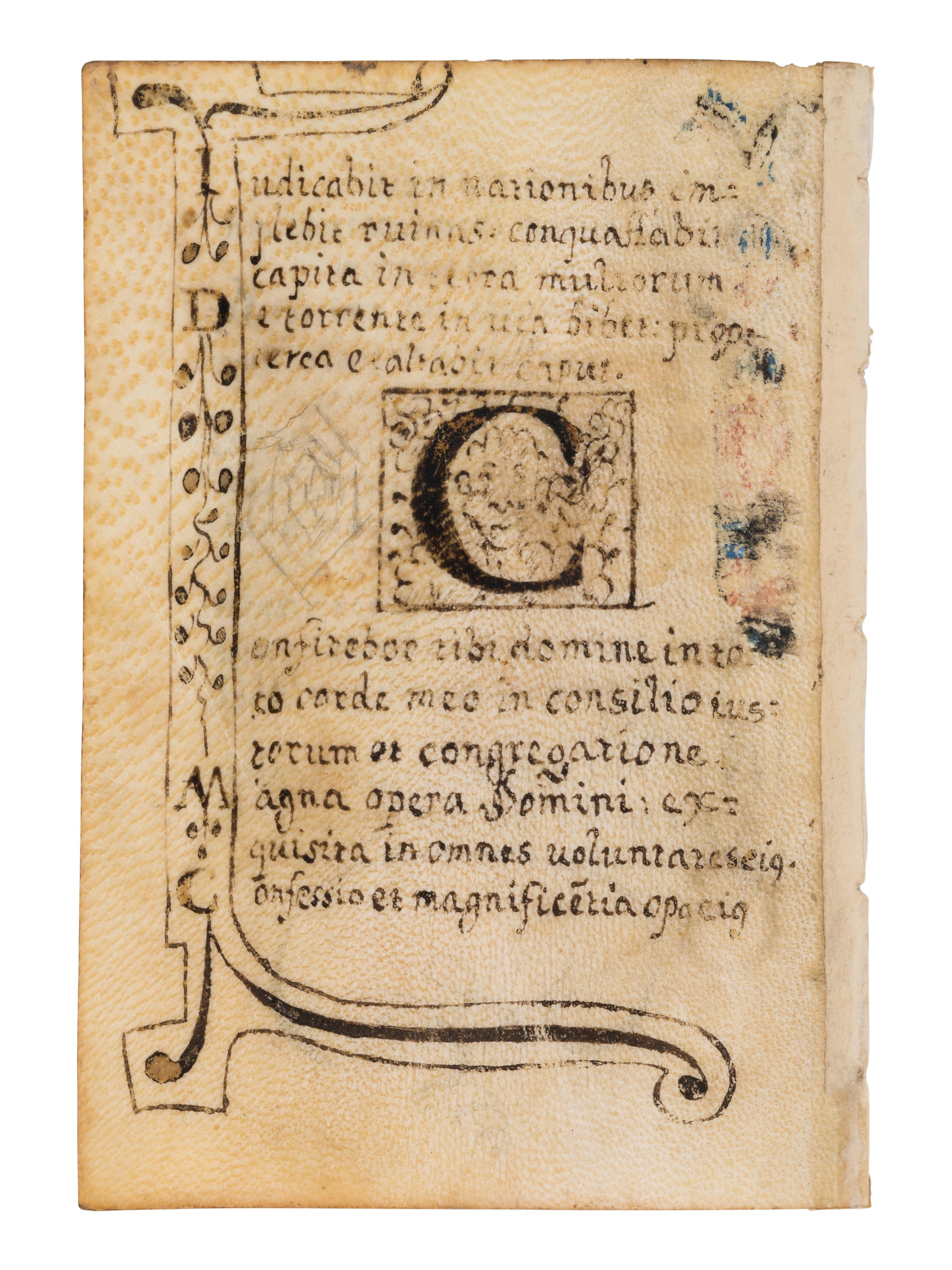 A collection of leaves from Psalter manuscripts, illuminated in Flanders in the first half of the thirteenth century, joined with a group of seventeenth- or eighteenth-century Psalter leaves drawn according to similar models