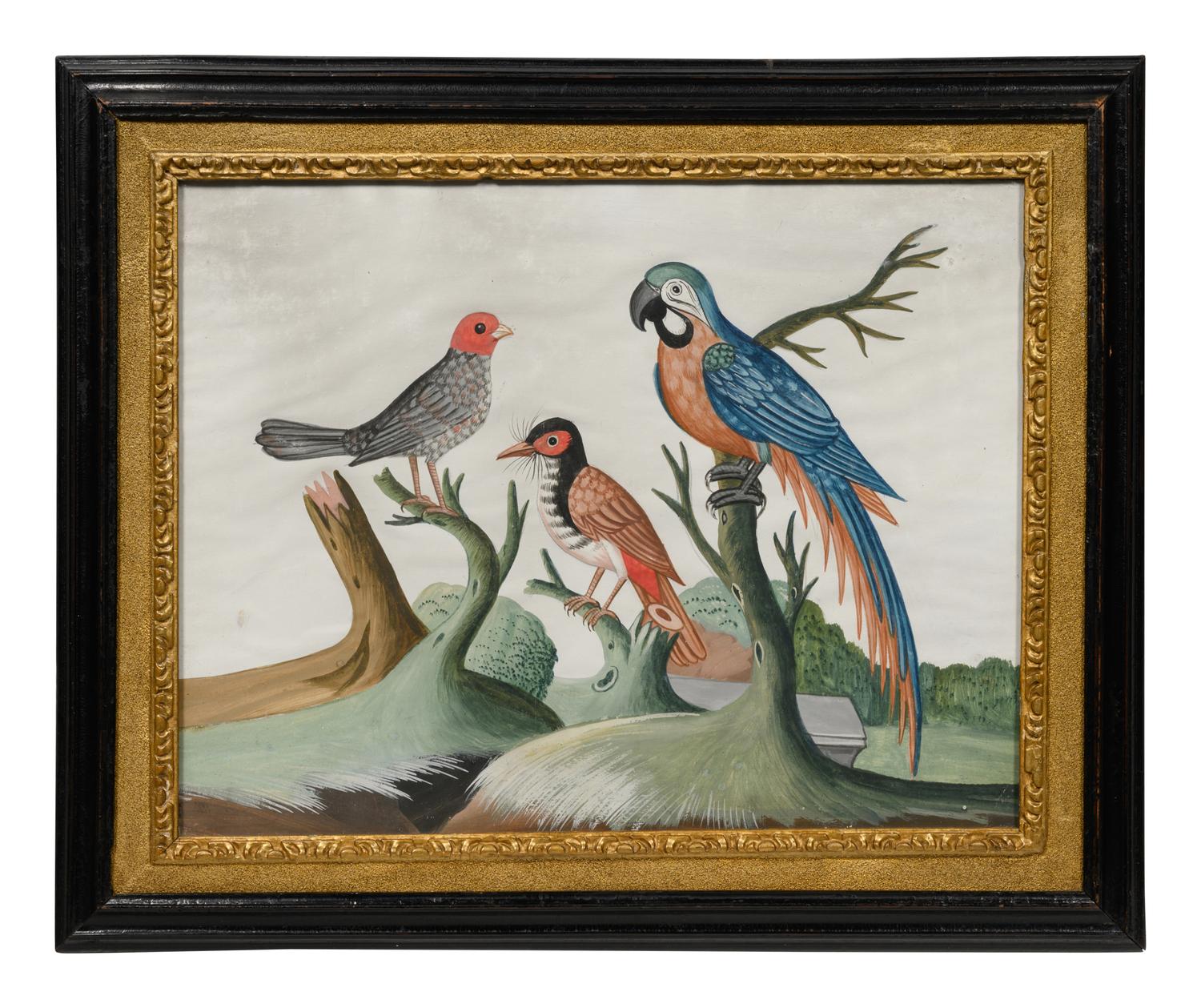 A Set of Six Irish George III Embossed Bird Pictures by Samuel Dixon