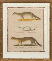A Set of Eight Animalier Prints 16 3/4 x 13 1/2 inches. — 19TH CENTURY