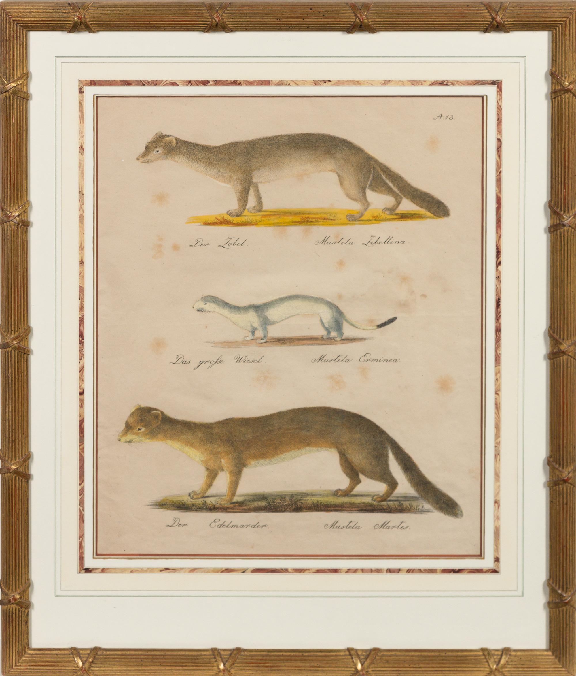 A Set of Eight Animalier Prints 16 3/4 x 13 1/2 inches. — 19TH CENTURY