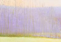 Violet in the Distance