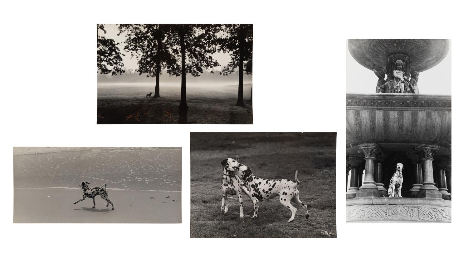 A Group of Four Works, 1958-65; printed ca. 1958-65