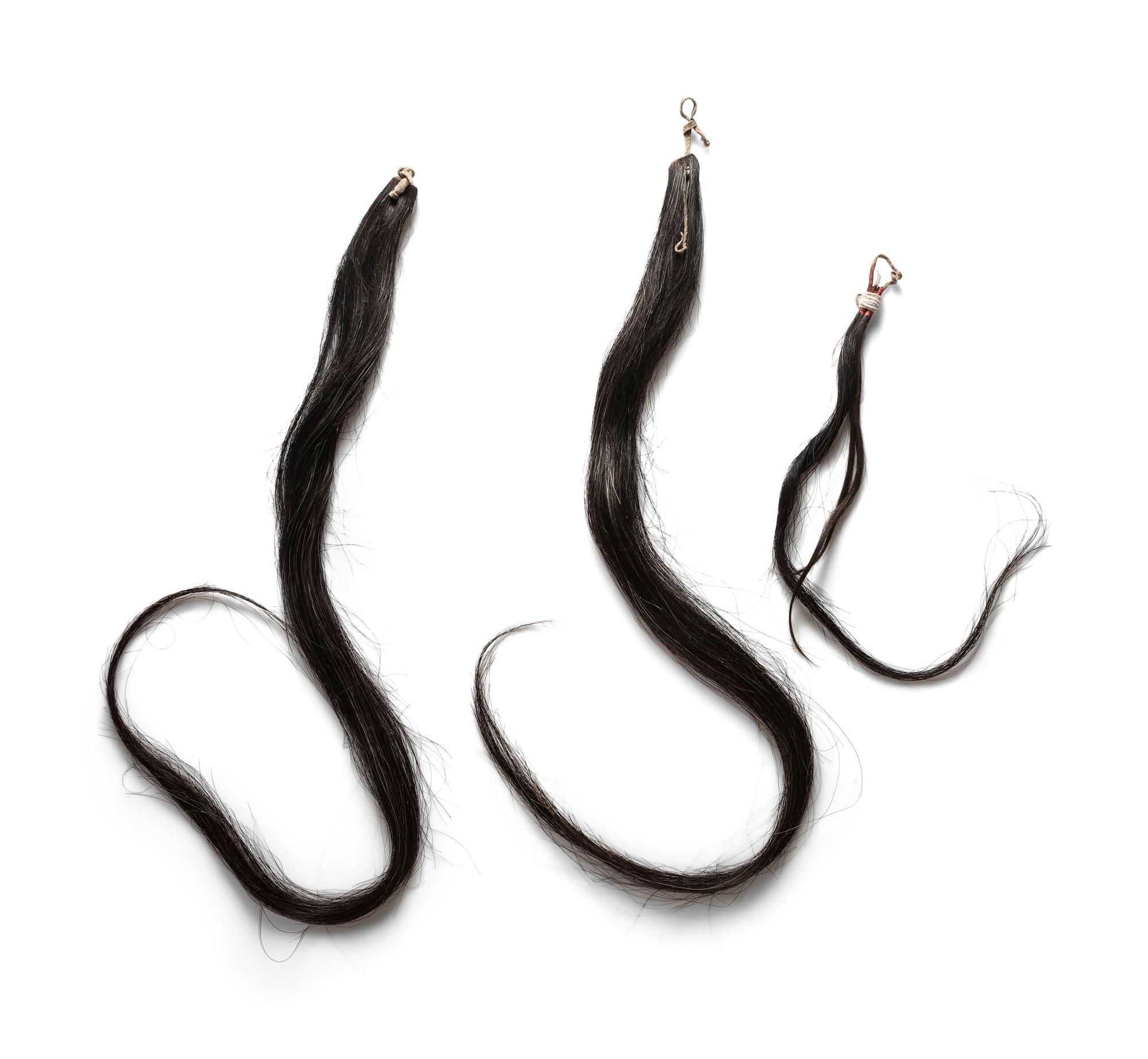 Plains Horsehair Drops, From the Collection of Forrest Fenn, New Mexico