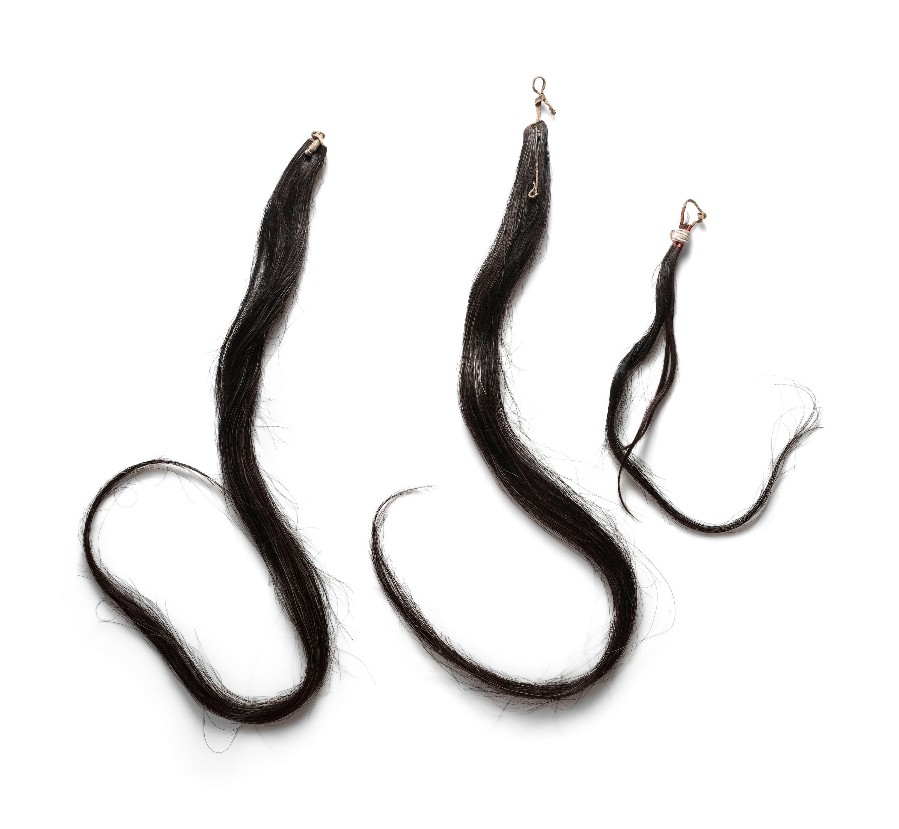 Plains Horsehair Drops, From the Collection of Forrest Fenn, New Mexico