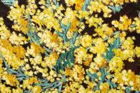 Peaches in a Blue and White Bowl , 1976, and Yellow Gorse in a Blue Pitcher (two works)