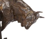 Bull Study