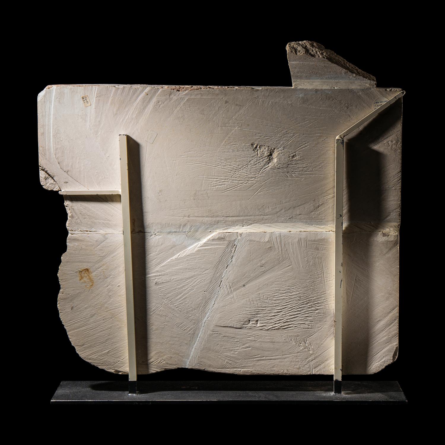 An Egyptian Limestone Relief Fragment