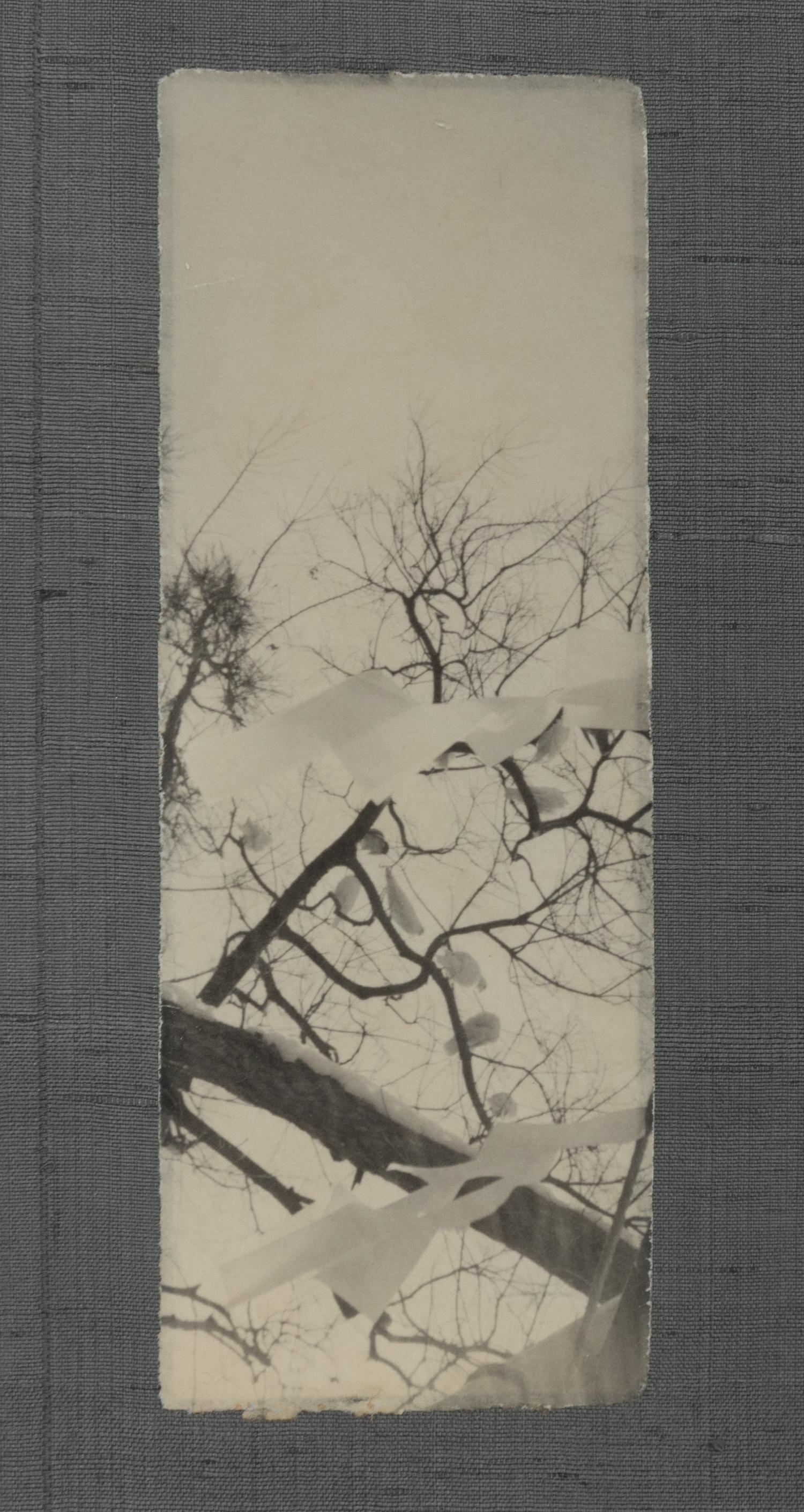 Masao Yasmamoto